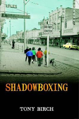 Cover image for Shadowboxing