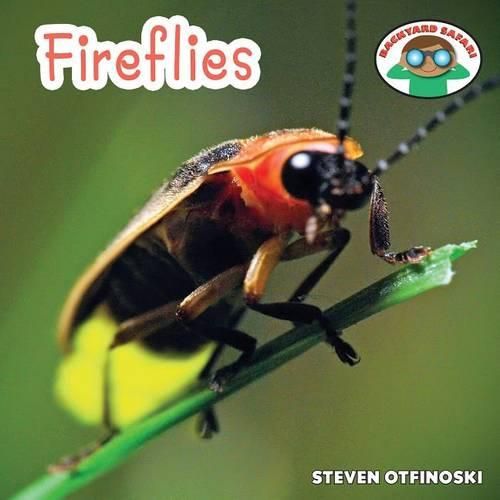 Cover image for Fireflies
