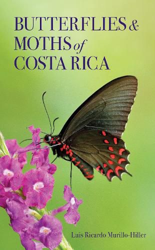 Butterflies and Moths of Costa Rica