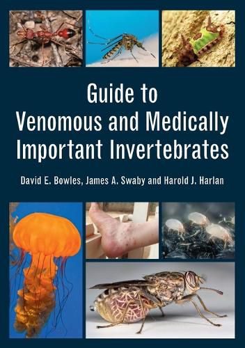 Cover image for Guide to Venomous and Medically Important Invertebrates