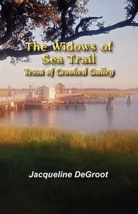 Cover image for The Widows of Sea Trail-Tessa of Crooked Gulley