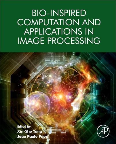 Cover image for Bio-Inspired Computation and Applications in Image Processing