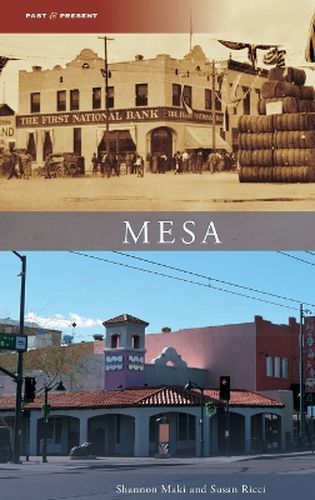 Cover image for Mesa