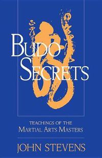 Cover image for Budo Secrets: Teachings of the Martial Arts Masters