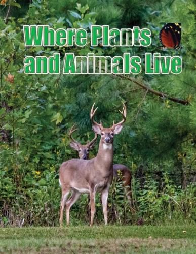 Cover image for Where Plants and Animals Live