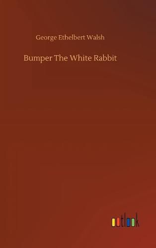 Bumper The White Rabbit