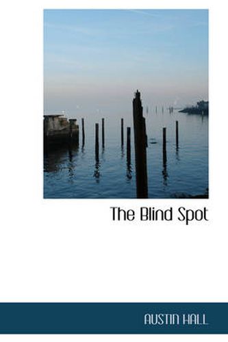 Cover image for The Blind Spot