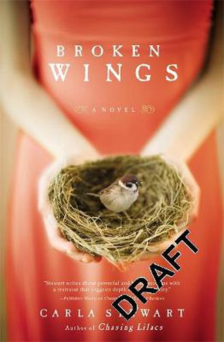 Cover image for Broken Wings