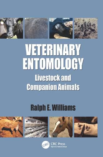 Cover image for Veterinary Entomology: Livestock and Companion Animals