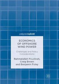 Cover image for Economics of Offshore Wind Power: Challenges and Policy Considerations