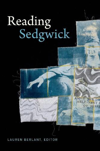 Cover image for Reading Sedgwick