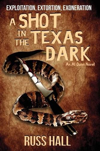 Cover image for A Shot in the Texas Dark