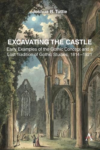 Cover image for Excavating the Castle