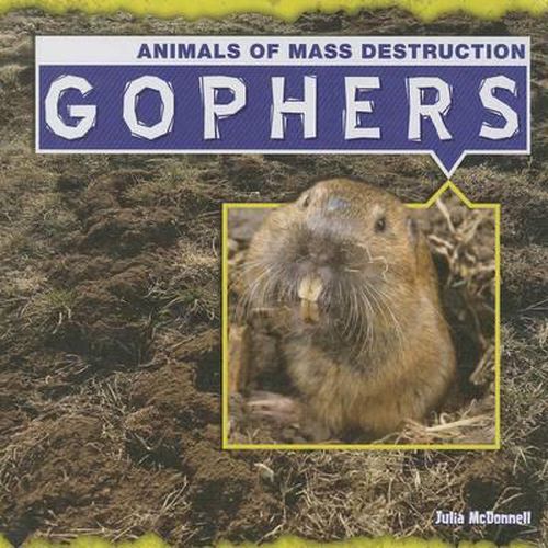 Cover image for Gophers
