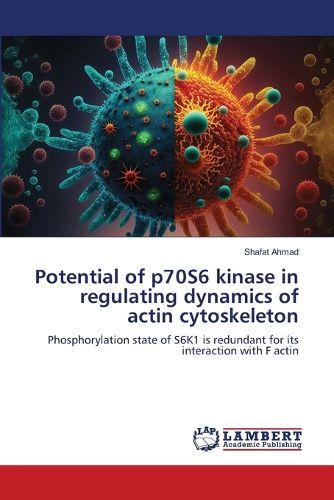 Cover image for Potential of p70S6 kinase in regulating dynamics of actin cytoskeleton
