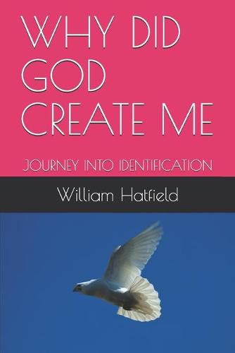 Cover image for Why Did God Create Me: Journey Into Identification