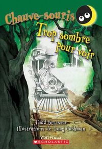 Cover image for Trop Sombre Pour Voir