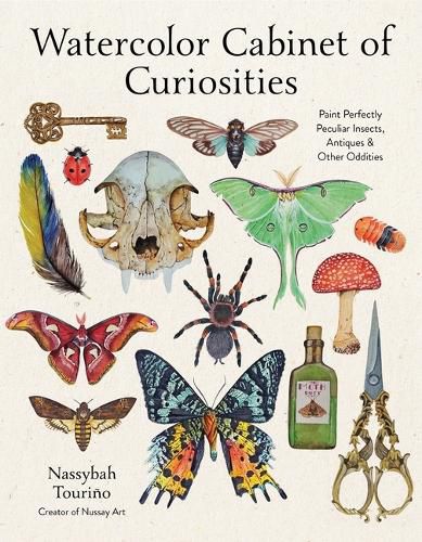 Cover image for Watercolor Cabinet of Curiosities