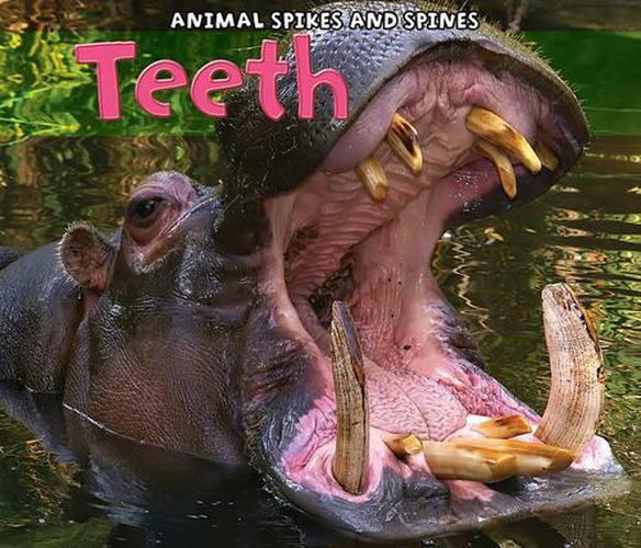 Teeth (Animal Spikes and Spines)