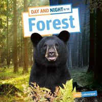 Cover image for Day and Night in the Forest