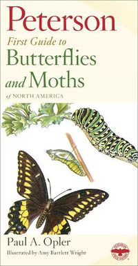 Cover image for First Guide to Butterflies