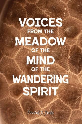 Cover image for Voices From the Meadow of the Mind of the Wandering Spirit