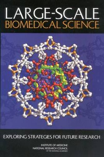 Large-Scale Biomedical Science: Exploring Strategies for Future Research