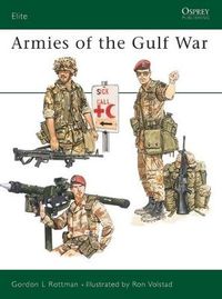 Cover image for Armies of the Gulf War