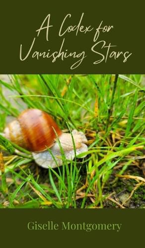 Cover image for A Codex for Vanishing Stars