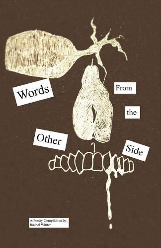 Cover image for Words From the Other Side: A Crazy Girl's Book of Poetry