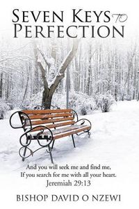 Cover image for Seven Keys to Perfection