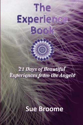 Cover image for The Experience Book: 21 Days of Beautiful Experiences from the Angels