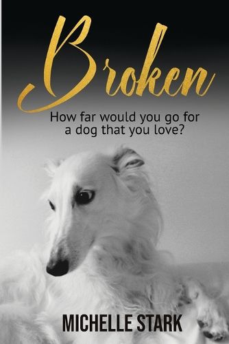 Cover image for Broken