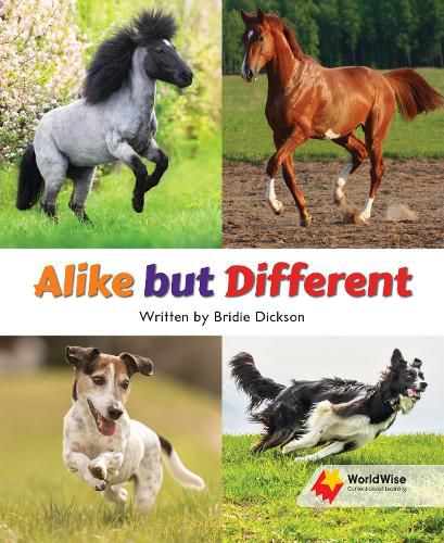 Cover image for Alike but Different