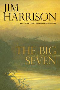 Cover image for The Big Seven