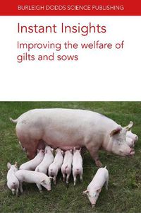 Cover image for Instant Insights: Improving the Welfare of Gilts and Sows