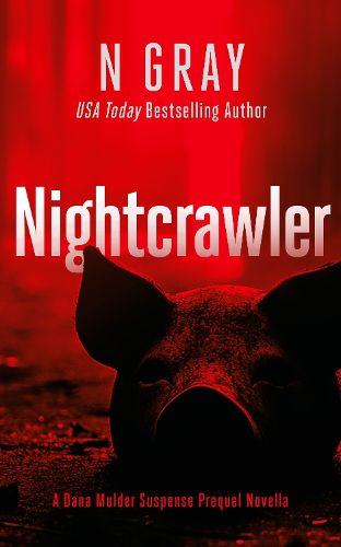 Cover image for Nightcrawler