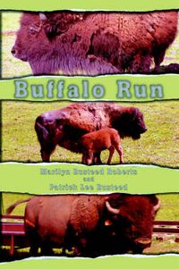 Cover image for Buffalo Run