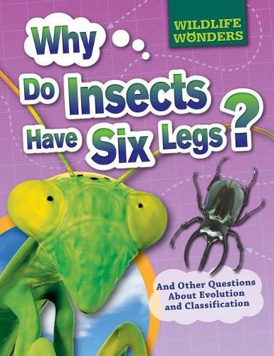 Cover image for Why Do Insects Have Six Legs?: And Other Questions about Evolution and Classification