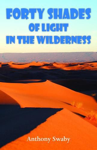 Cover image for Forty Shades of Light in the Wilderness