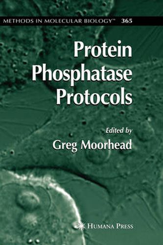 Cover image for Protein Phosphatase Protocols