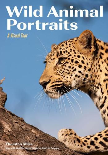 Cover image for Wild Animal Portraits: A Visual Tour