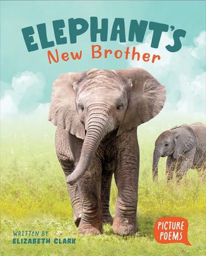 Cover image for Elephant's New Brother