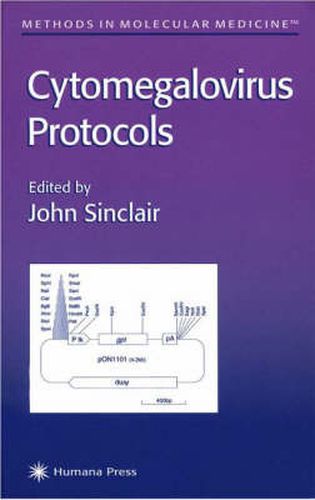 Cover image for Cytomegalovirus Protocols