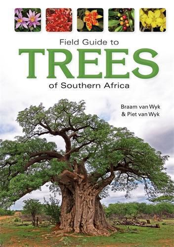 Cover image for Field Guide to Trees of Southern Africa