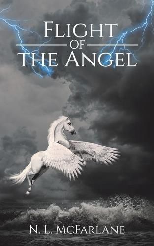 Cover image for Flight of the Angel