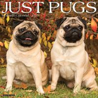 Cover image for Just Pugs 2025 12 X 12 Wall Calendar