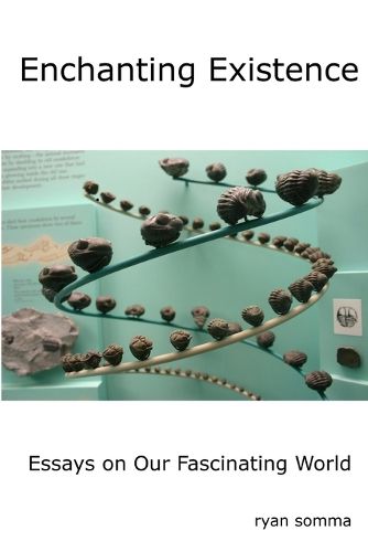Cover image for Enchanting Existence
