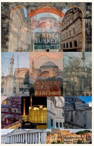 Cover image for The Rise of Turkey
