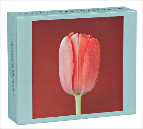 Cover image for Mapplethorpe Flowers QuickNotes